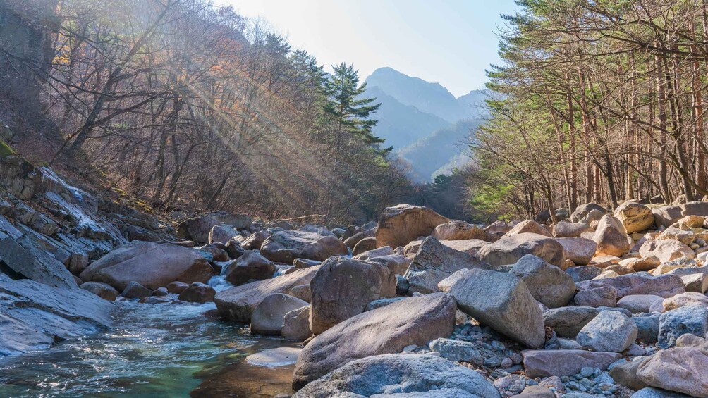 Picture 12 for Activity Seoul: Mt Seorak Hike with Naksansa Temple or Nami Island