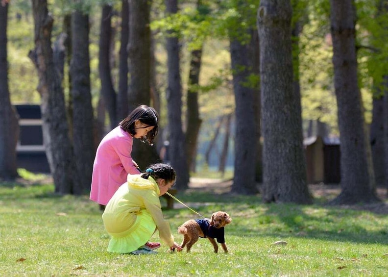 Picture 13 for Activity Seoul: Mt Seorak Hike with Naksansa Temple or Nami Island
