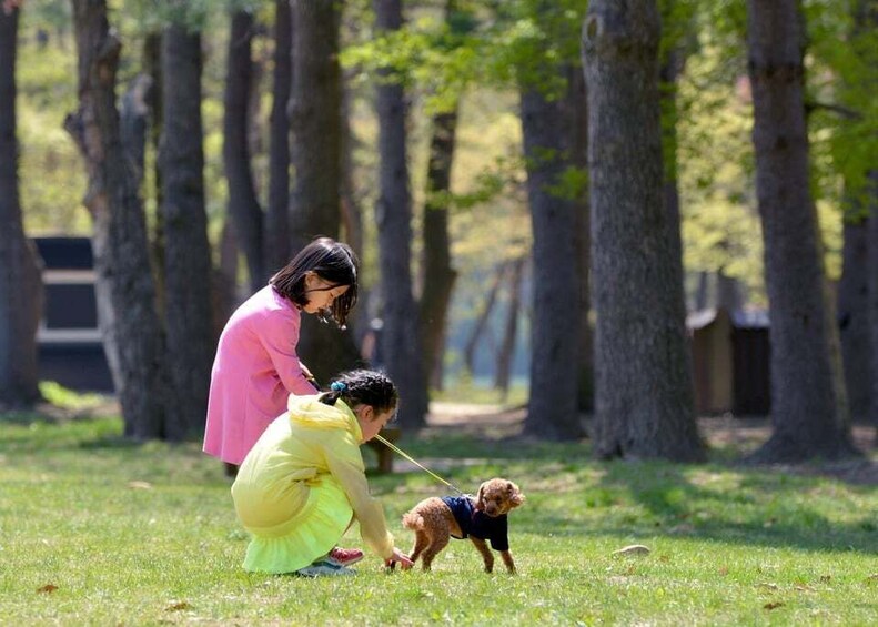 Picture 17 for Activity Seoul: Mt Seorak Hike with Naksansa Temple or Nami Island