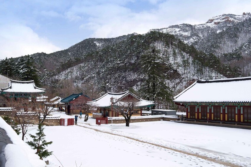 Picture 4 for Activity Seoul: Mt Seorak Hike with Naksansa Temple or Nami Island