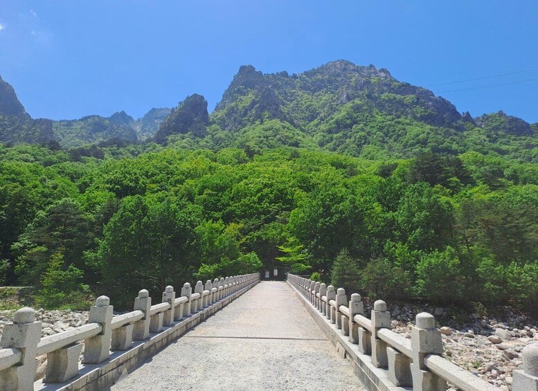 Picture 3 for Activity Seoul: Mt Seorak Hike with Naksansa Temple or Nami Island