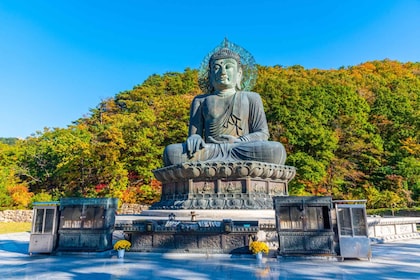 Seoul: Mt Seorak Hike with Naksansa Temple or Nami Island