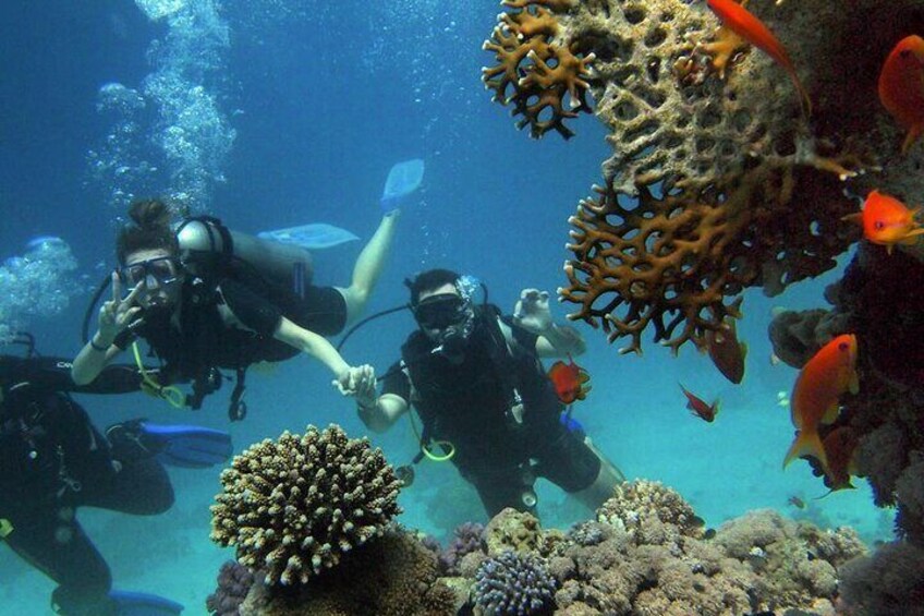 Scuba Diving Experience in Alanya With Lunch and 2 Dives