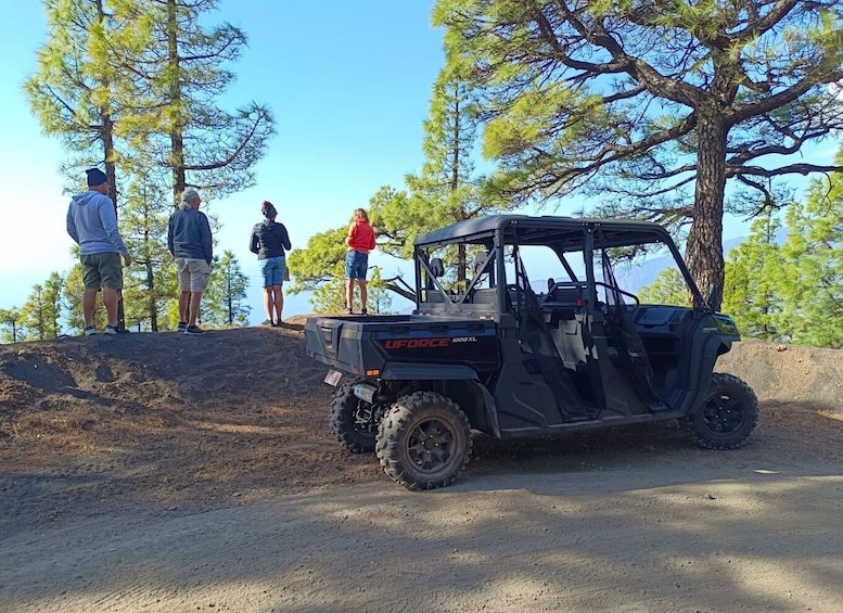 Picture 2 for Activity La Palma: Volcano Route Buggy Tour