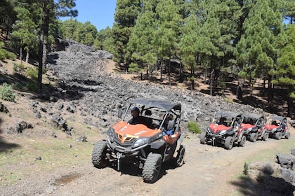 La Palma: The Volcanoes Route €189.50 per buggy for 2 people