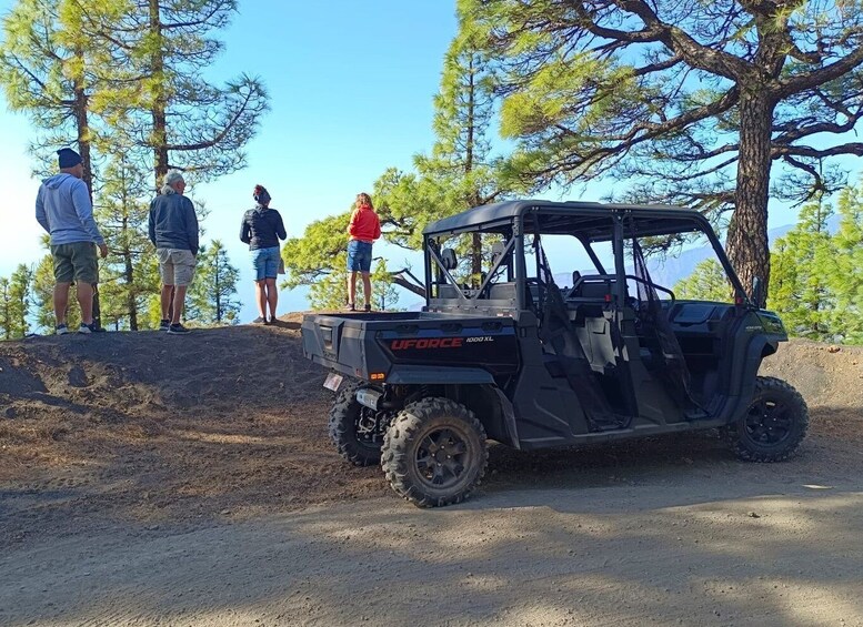 Picture 2 for Activity La Palma: Volcano Route Buggy Tour