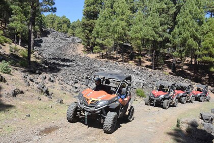 La Palma: Ruta de los Volcanes en Buggy