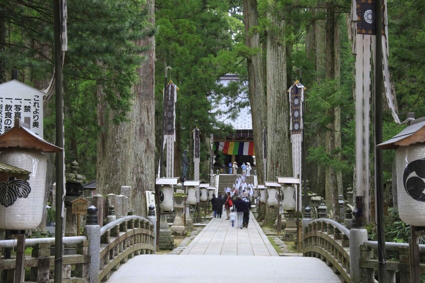 Picture 4 for Activity From Osaka: Mt. Koya Private Walking and Train Tour