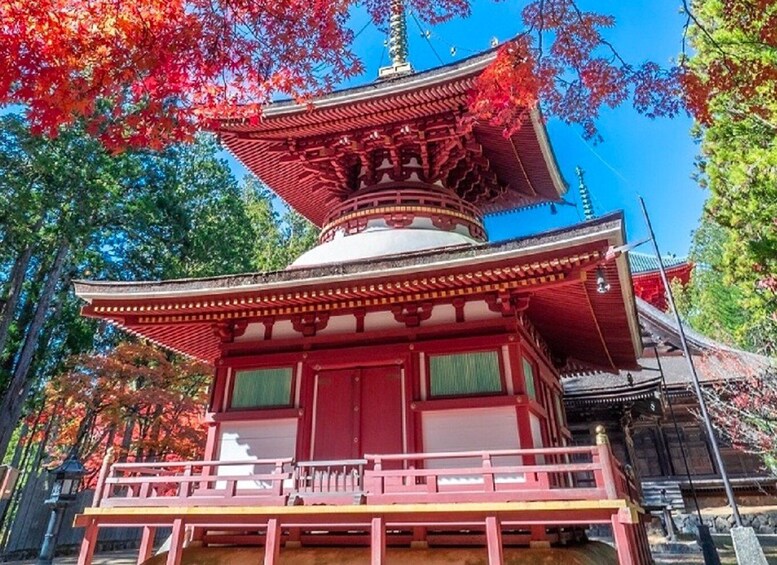 From Osaka: Mt. Koya Private Walking and Train Tour