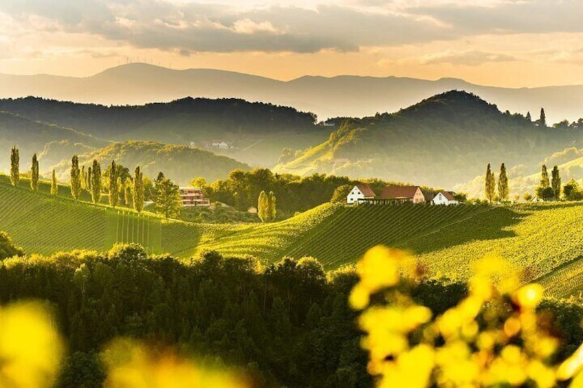 Electric Vespa Tour with Chianti Winery Tasting