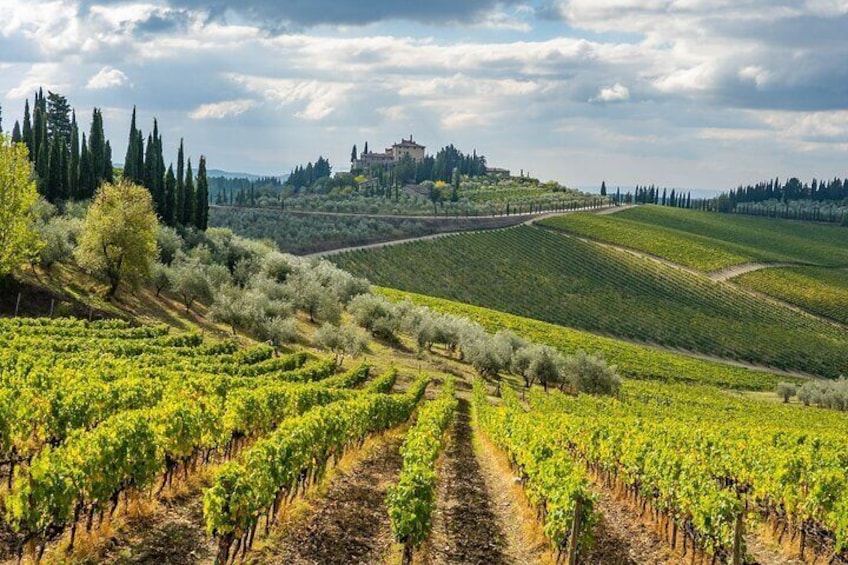 Electric Vespa Tour with Chianti Winery Tasting