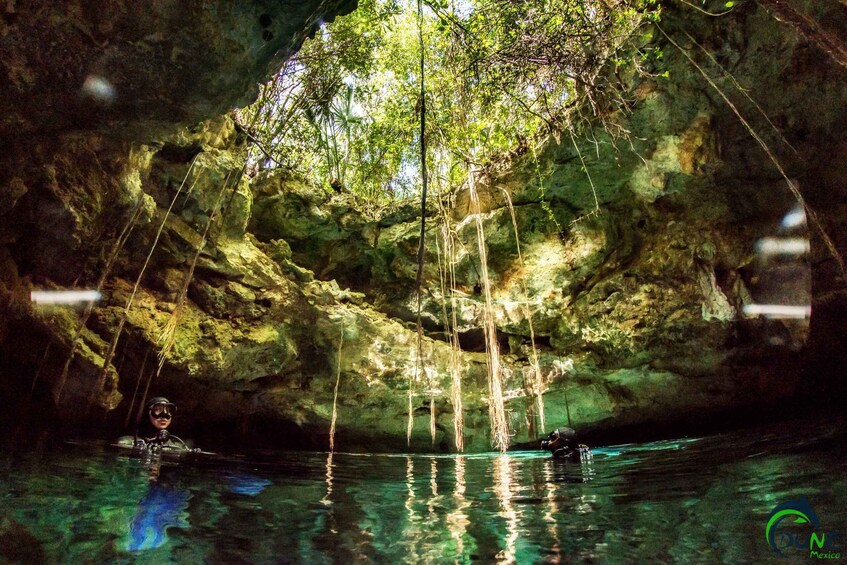 Picture 4 for Activity Cenotes & Cavern Diving Tour