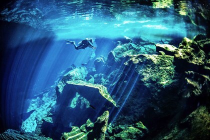 Tour de buceo en cenotes y cavernas