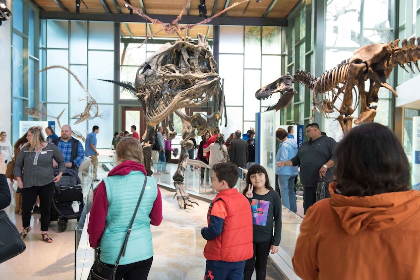Picture 3 for Activity San Antonio: Witte Museum Admission Ticket