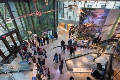 San Antonio: Eintrittskarte für das Witte Museum