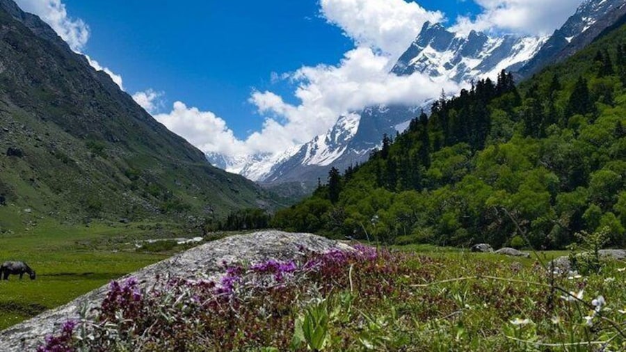 Har Ki dun Trek by Himalaya Shelter