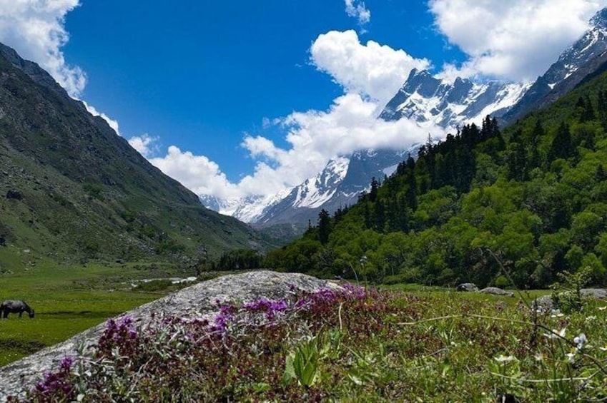 Har Ki dun Trek by Himalaya Shelter