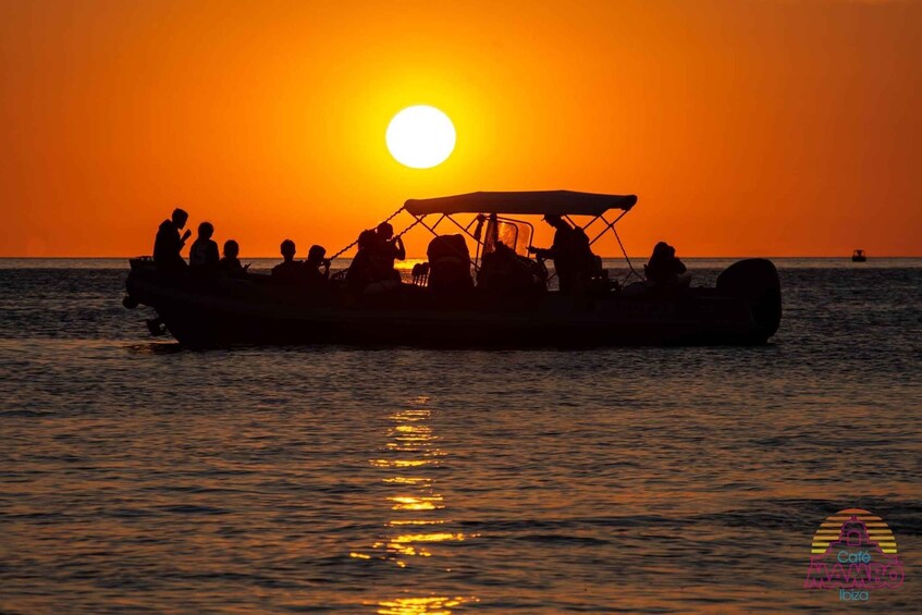 Picture 14 for Activity Ibiza: Cave and Beach Hopping Private Boat Tour