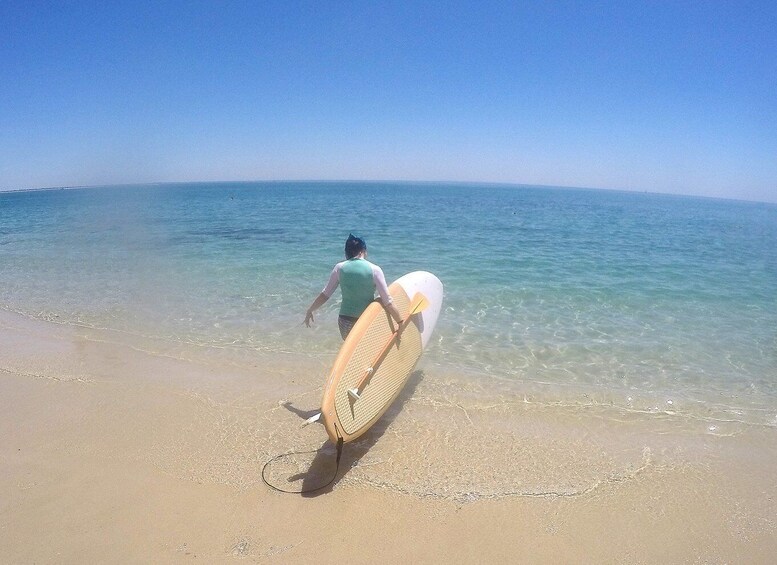 Picture 4 for Activity From Lisbon: Nature Park of Arrábida Paddleboarding