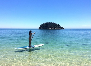 Desde Lisboa: surf de remo en el Parque Natural de Arrábida