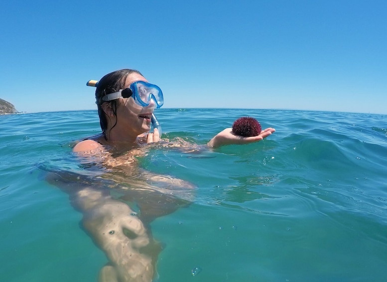 Picture 3 for Activity From Lisbon: Nature Park of Arrábida Paddleboarding