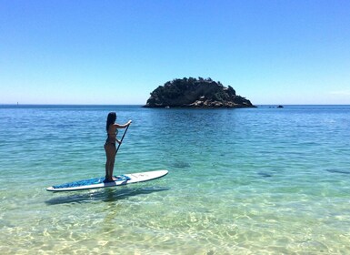 Depuis Lisbonne : Parc naturel d'Arrábida Paddleboarding