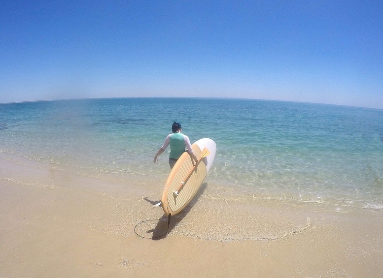 Picture 4 for Activity From Lisbon: Nature Park of Arrábida Paddleboarding