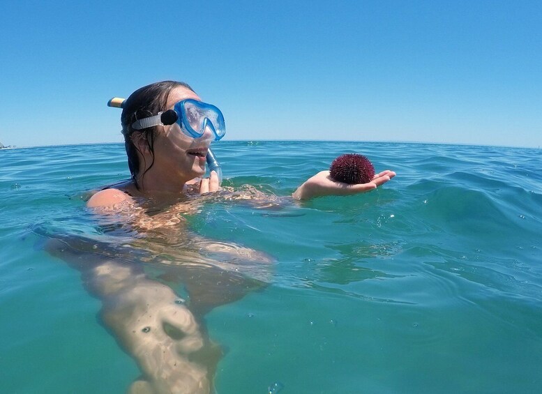 Picture 3 for Activity From Lisbon: Nature Park of Arrábida Paddleboarding