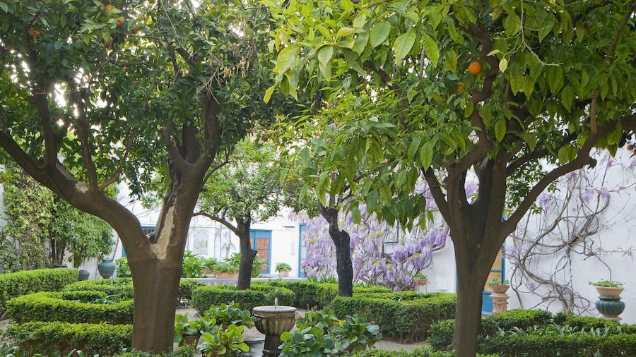 Córdoba: Viana Palace Gardens and Patios Entry Ticket