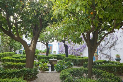 Córdoba: Viana Palast Gärten und Patios Eintrittskarte