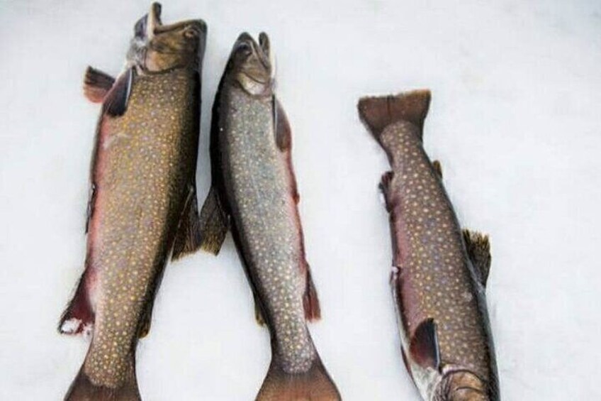 Ice fishing