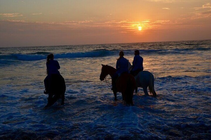 Private Horseback and La Bufadora Shore Excursion