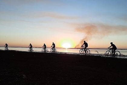 Lake Itaipu Bike Experience: Ride along the banks of the Lake