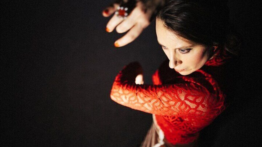 Flamenco Show & Tapas tasting with panoramic views of Madrid