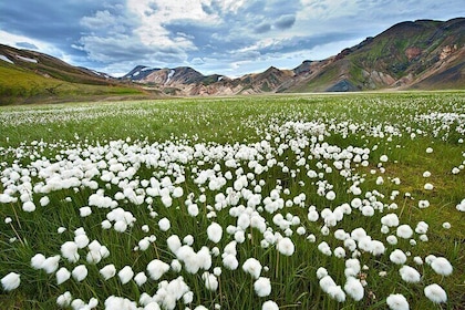 3 Days Iceland Private Super Jeep Tour Highlands & Golden Circle