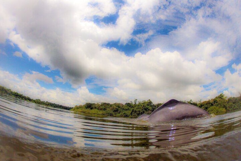 Community tour 3 days 2 nights all included in Guaviare