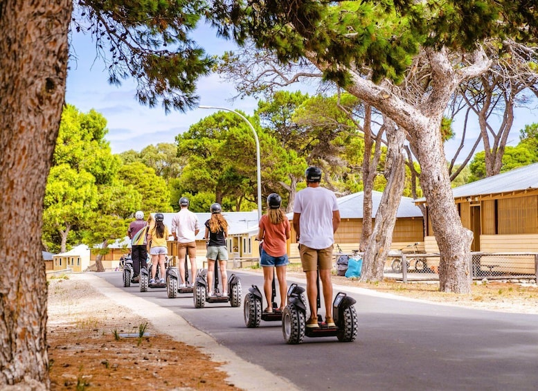 Picture 9 for Activity Rottnest Island Segway 1-Hour Settlement Tour