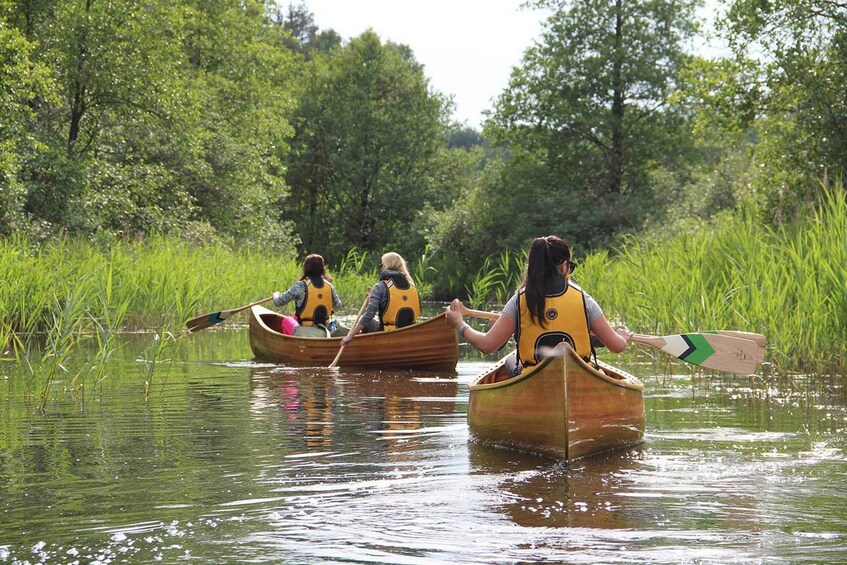 Picture 12 for Activity Žemaitija National Park: Full-Day Canoe Tour with Picnic