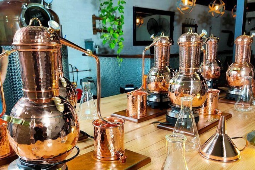 Small-Group Gin Masterclass in Gold Coast