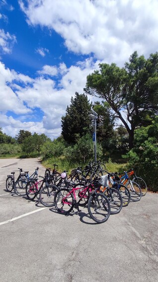 Picture 4 for Activity Split: Old Town and Marjan Park Bike Tour