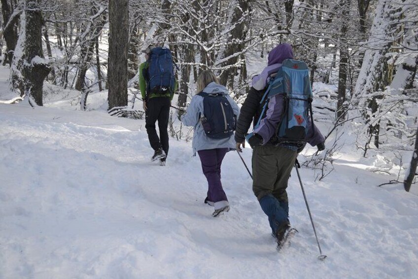 Private Half Day Snow Trekking in Bariloche