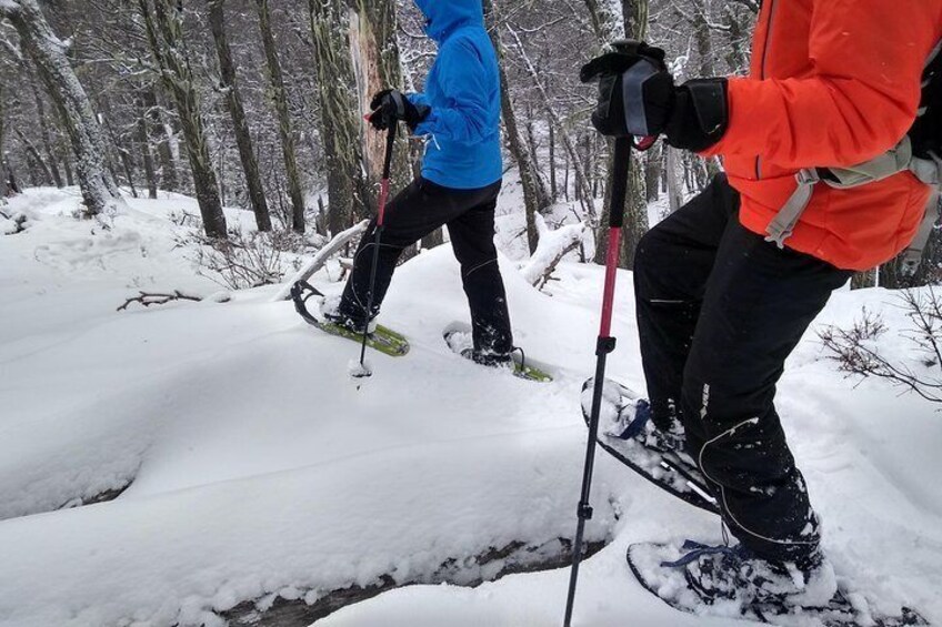 Private Half Day Snow Trekking in Bariloche