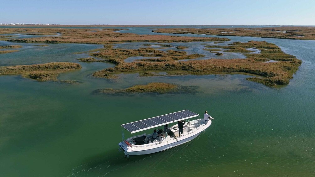 Picture 5 for Activity Faro: Eco-Friendly Ria Formosa Bird Watching in Solar Boat