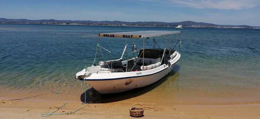 Picture 6 for Activity Faro: Eco-Friendly Ria Formosa Bird Watching in Solar Boat