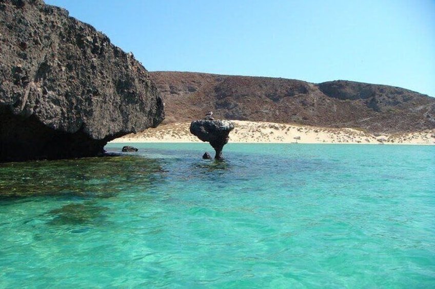 Balandra, La Paz and Todos Santos