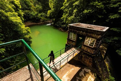 Ponta Delgada: Las joyas ocultas de São Miguel Excursión de un día en furgo...