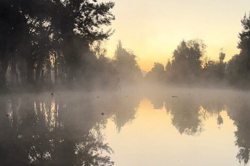 Navigation experience in Xochimilco at sunrise with breakfast