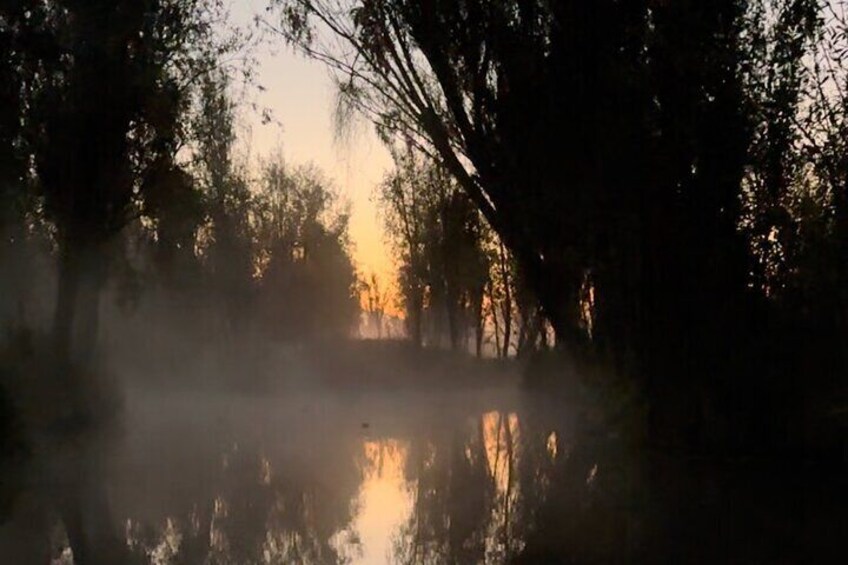 Navigation experience in Xochimilco at sunrise with breakfast