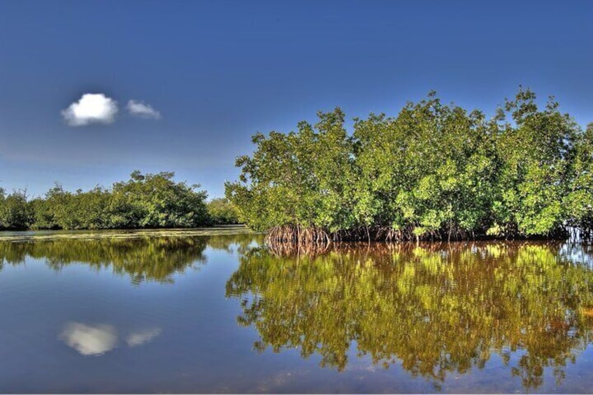 Half Day Tour Pedernales Cabo Rojo and Hoyo de Pelempito