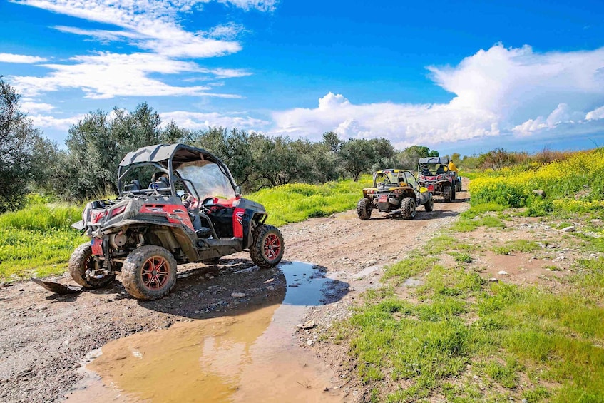 Picture 2 for Activity Paphos: 4x4 ATV & Buggy Safari Tour to Aphrodite's Rock